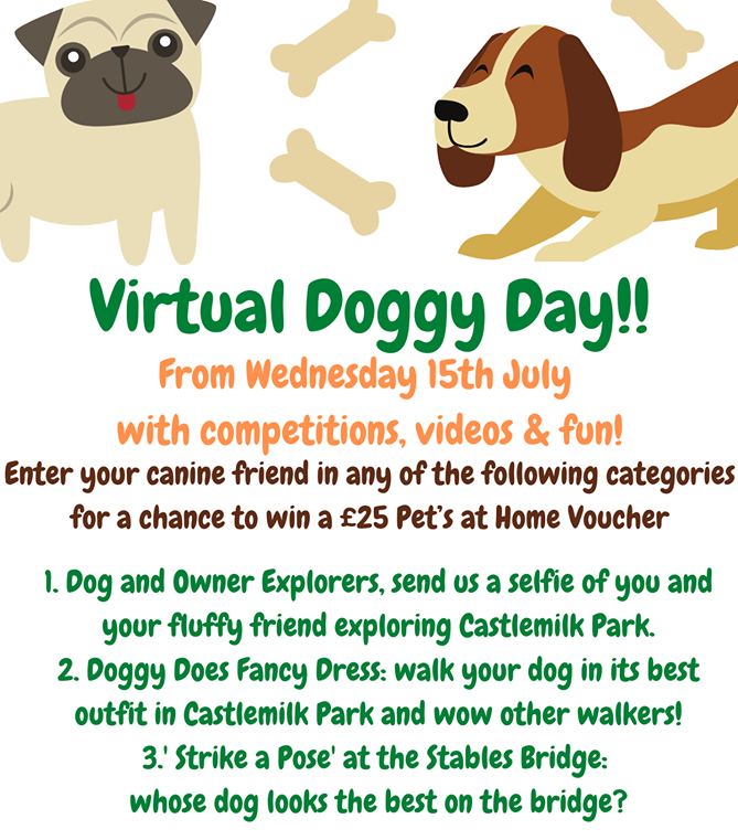 Doggy Day Competition