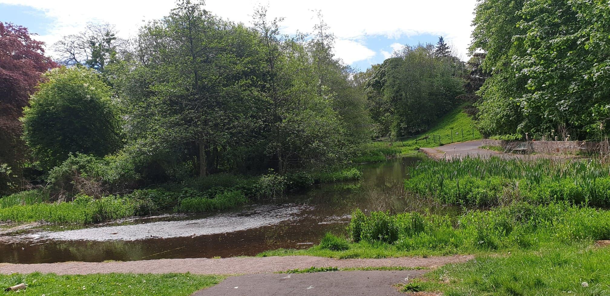 Castlemilk Park Pond Middle Island